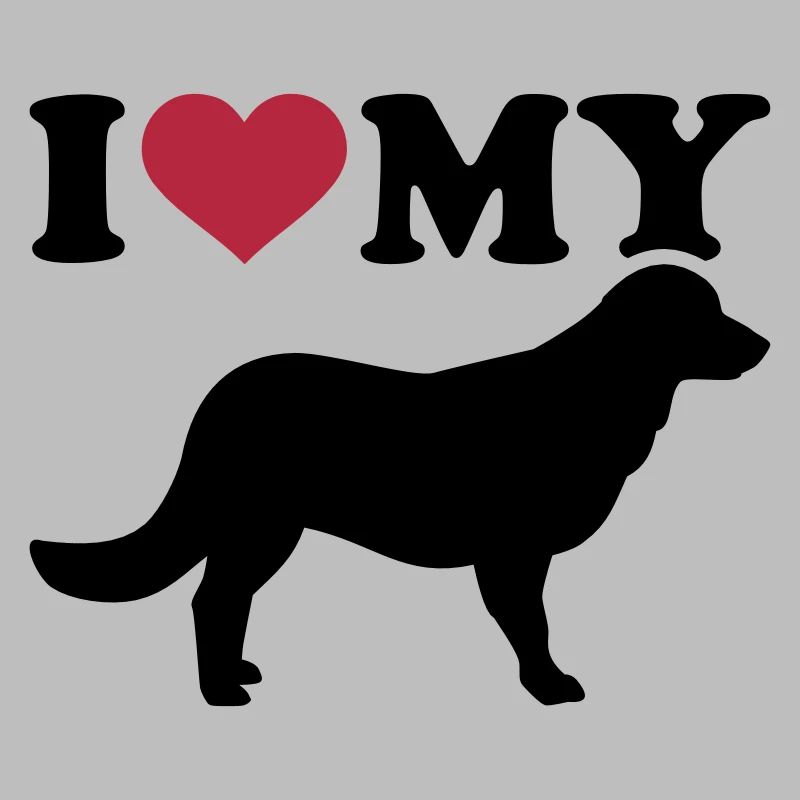 Flat Coated Retriever