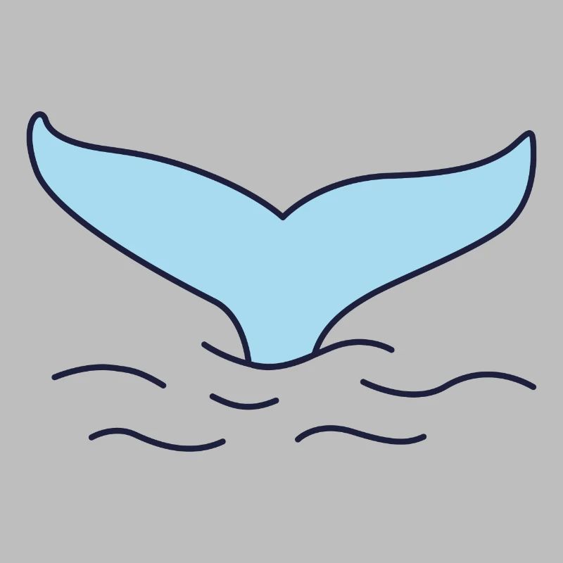 Baleine - aileron de baleine