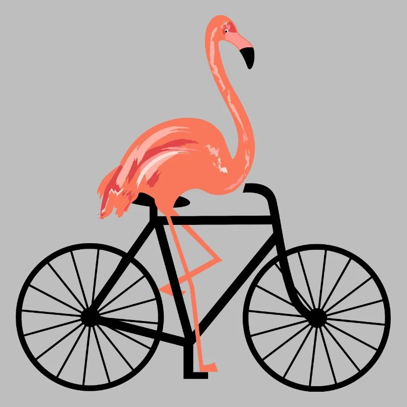 Flamingo avec vélo