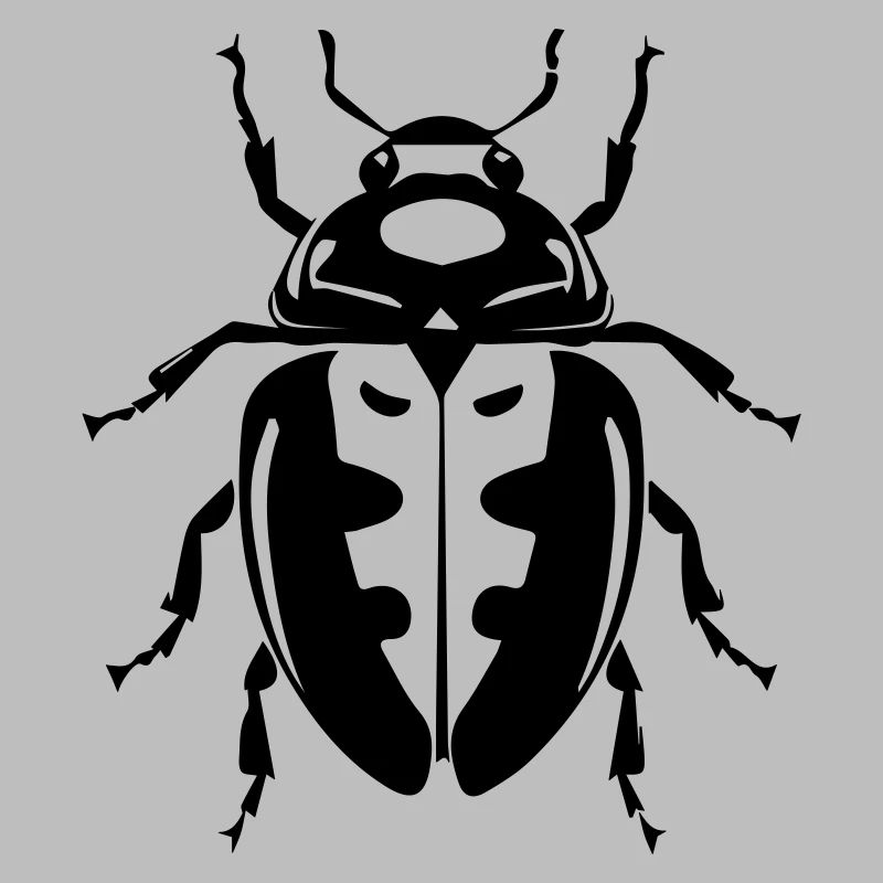beetles insect