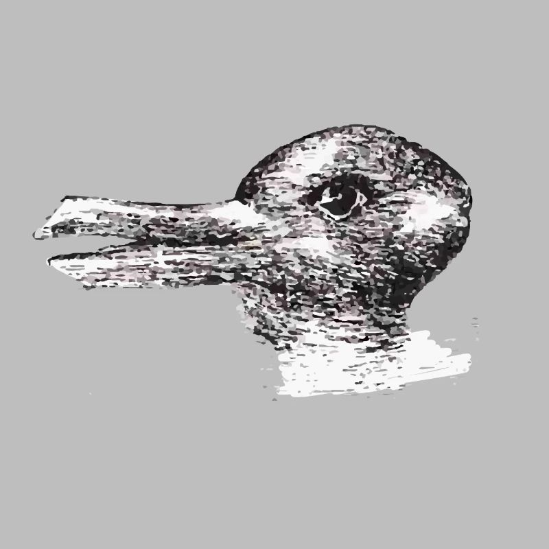 ente oder hase