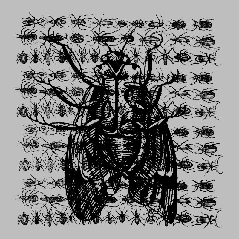 Papillon de nuit avec des insectes