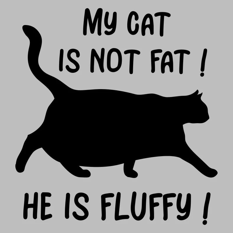 My cat is not fat! He is fluffy!
