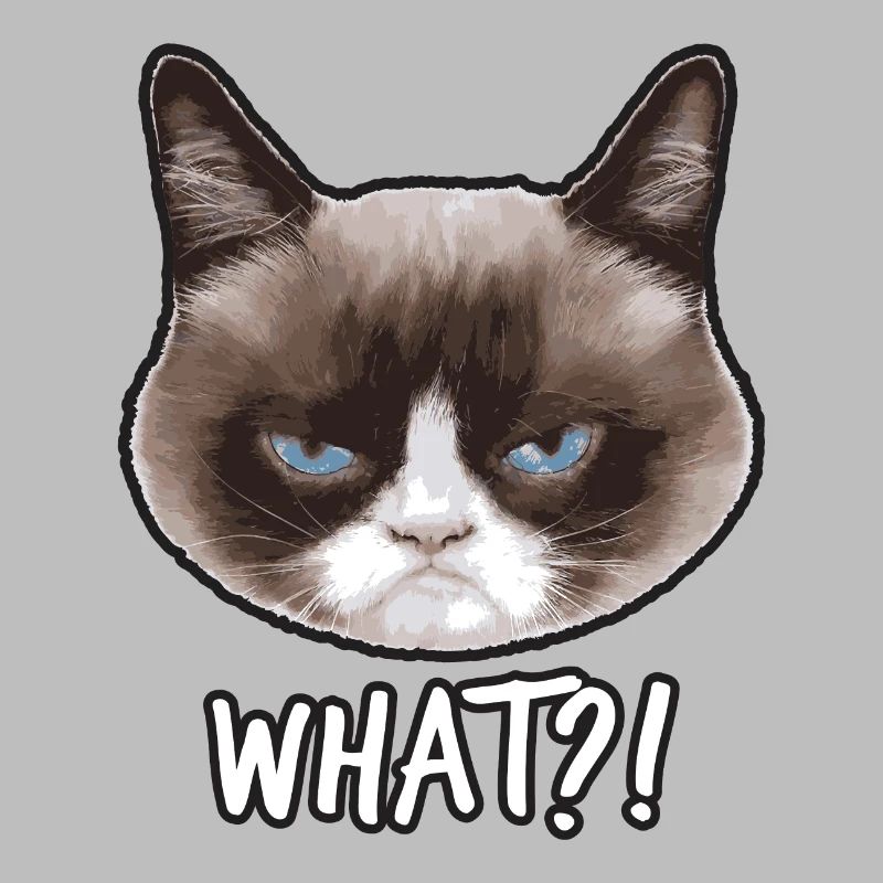 Grumpy Cat What?
