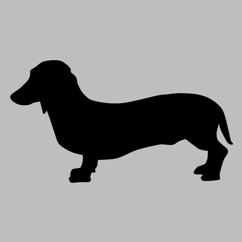 Dackel Hund