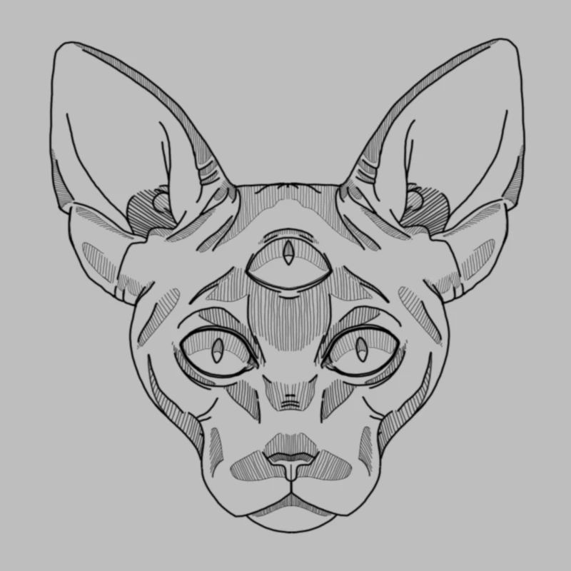 Sphynx Katze Schwarz