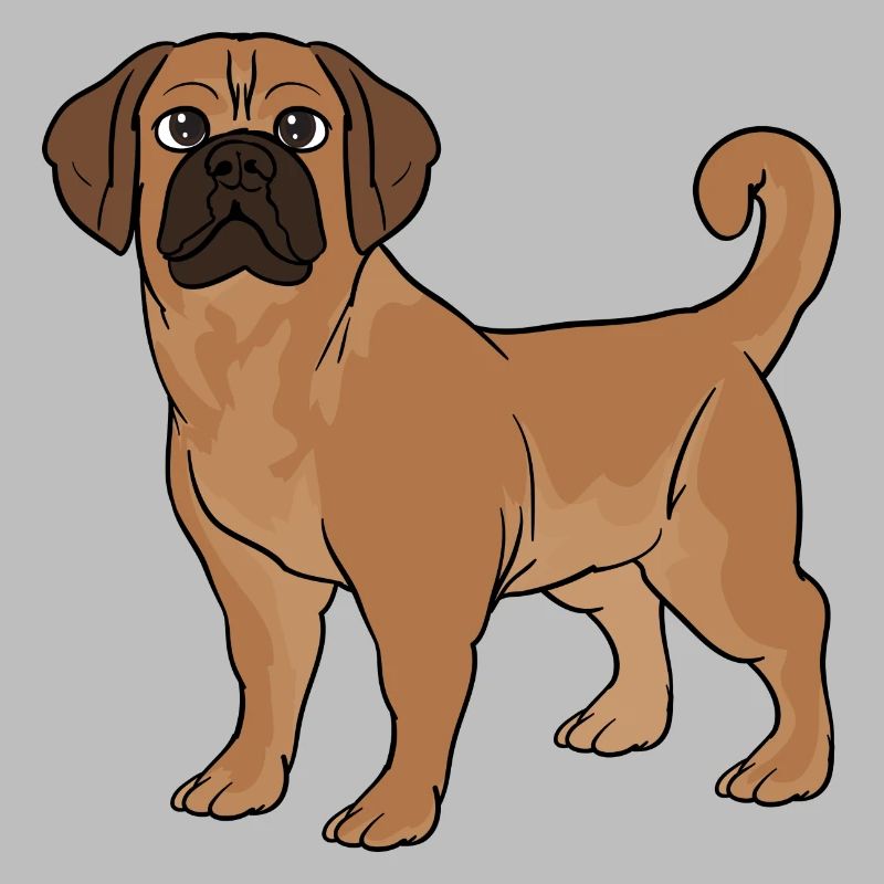 Puggle beagle carlin