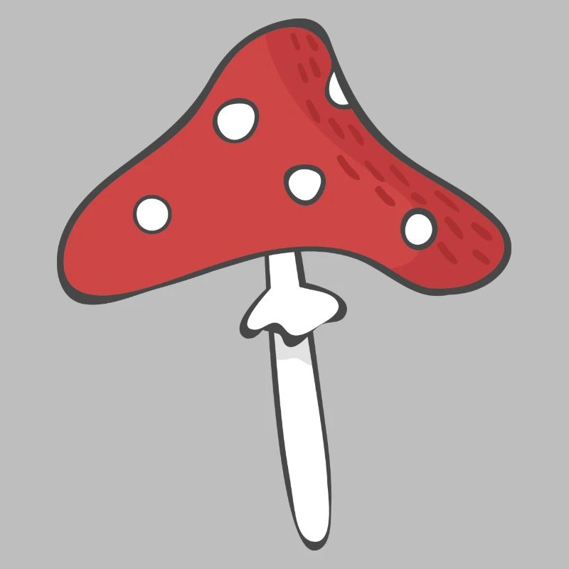 fly agaric