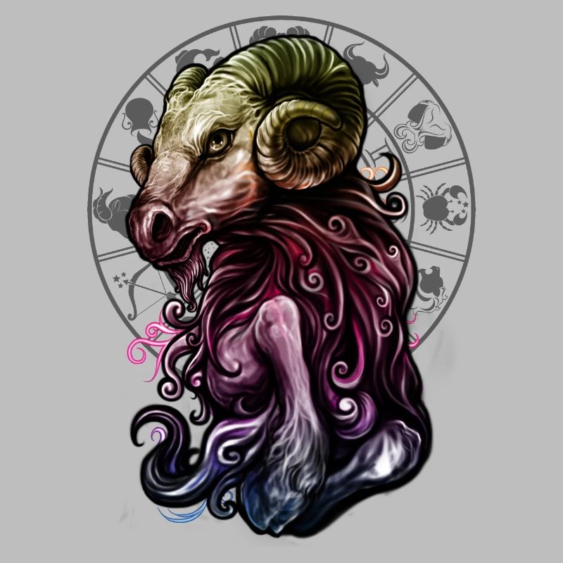 Sternzeichen Widder rainbow grey - RAHMENLOS