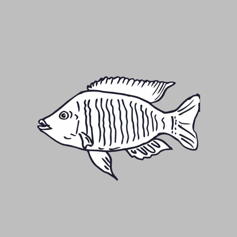 Cichlid poisson Malawi