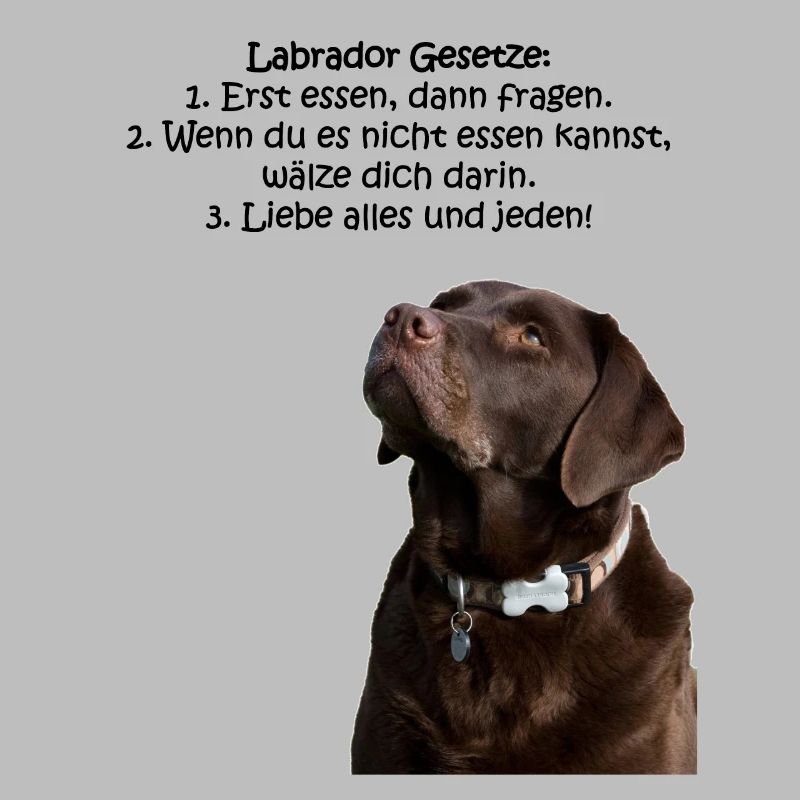 Die Gesetze eines Labradors