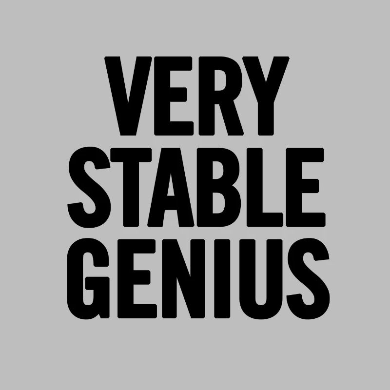 Very Stable Genius Schwarz