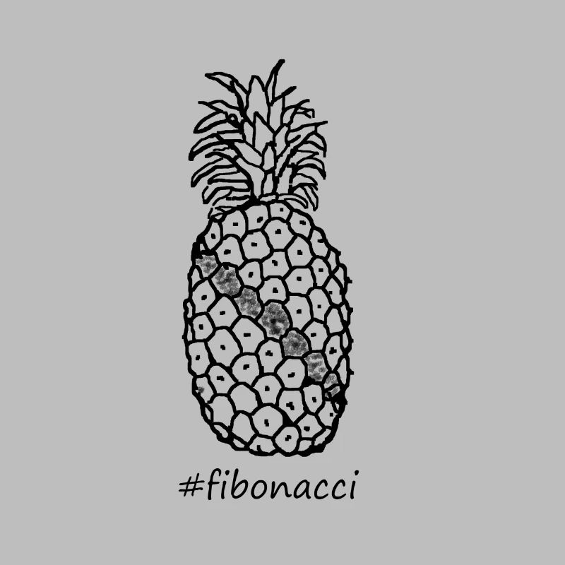 Fibonacci pineapple