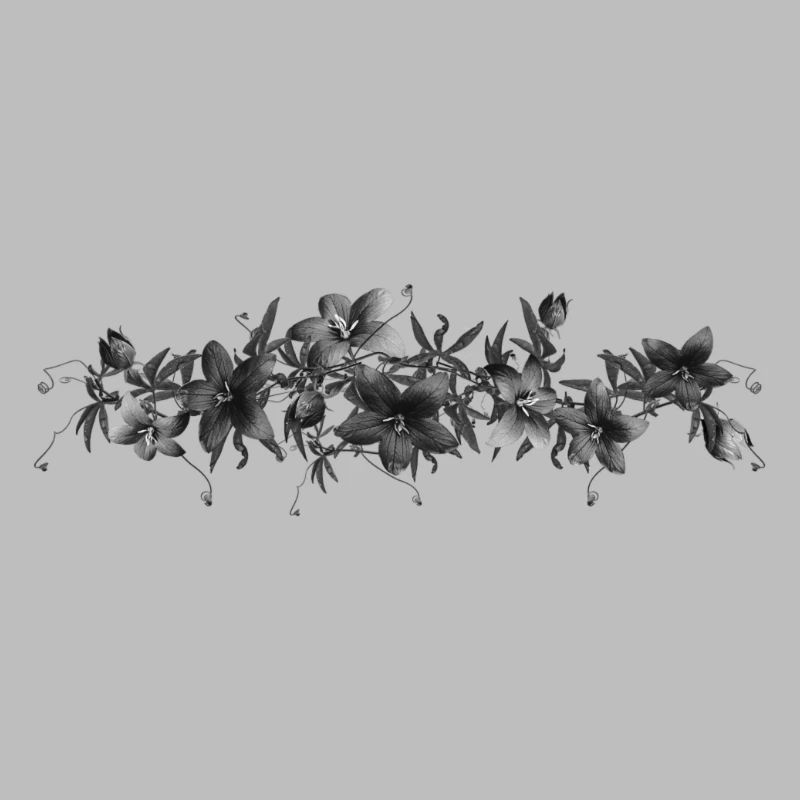 Blumen Schwarz