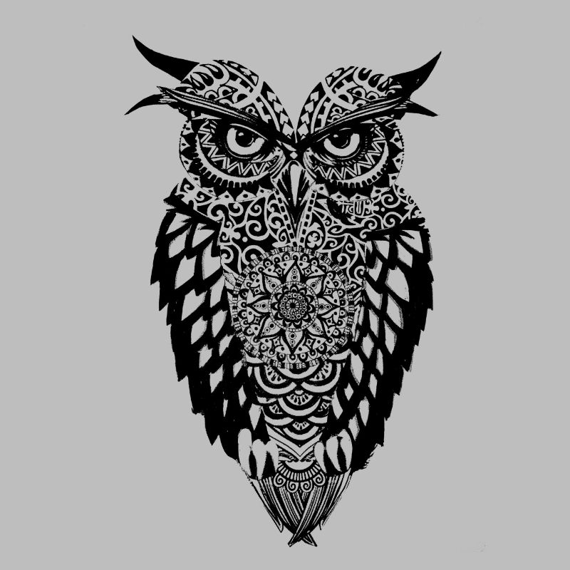 Eule - Geist der Weisheit