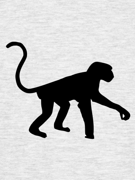 Affe