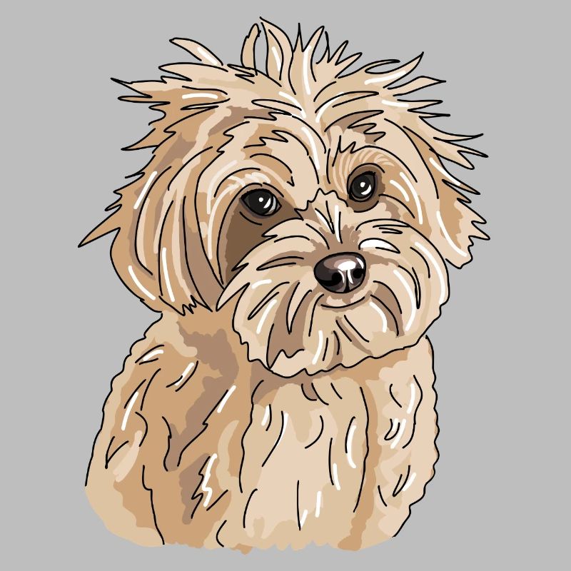 Havanese