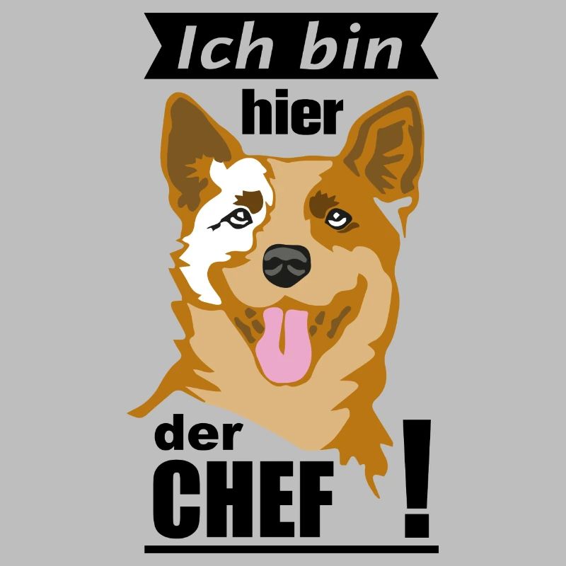 Ich bin Chef Cattle2