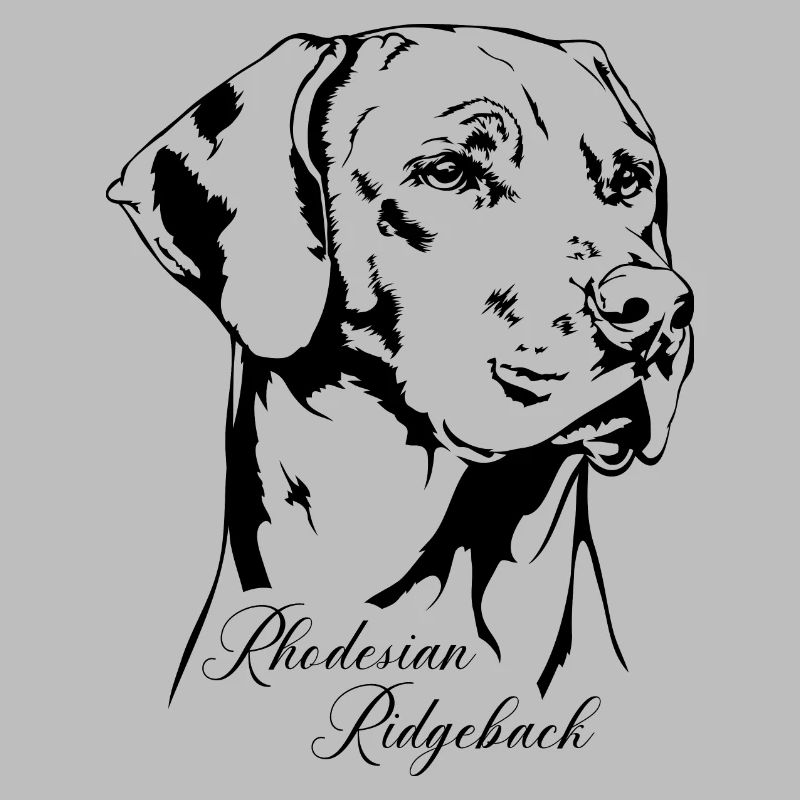 RHODESIAN RIDGEBACK RR Hundeportrait Wilsigns
