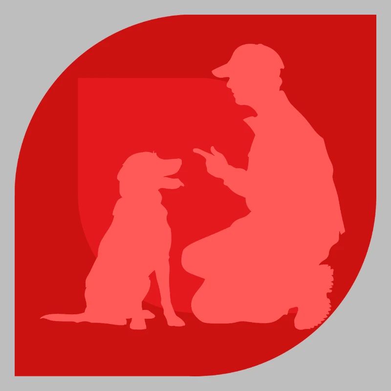 Hundetraining Agility