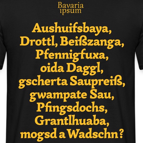 Bayrische Schimpfwörter Nr.1 - Männer T-Shirt