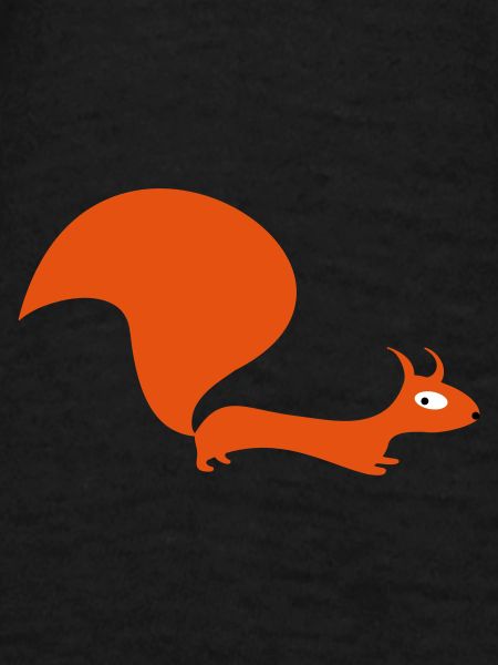 squirrel