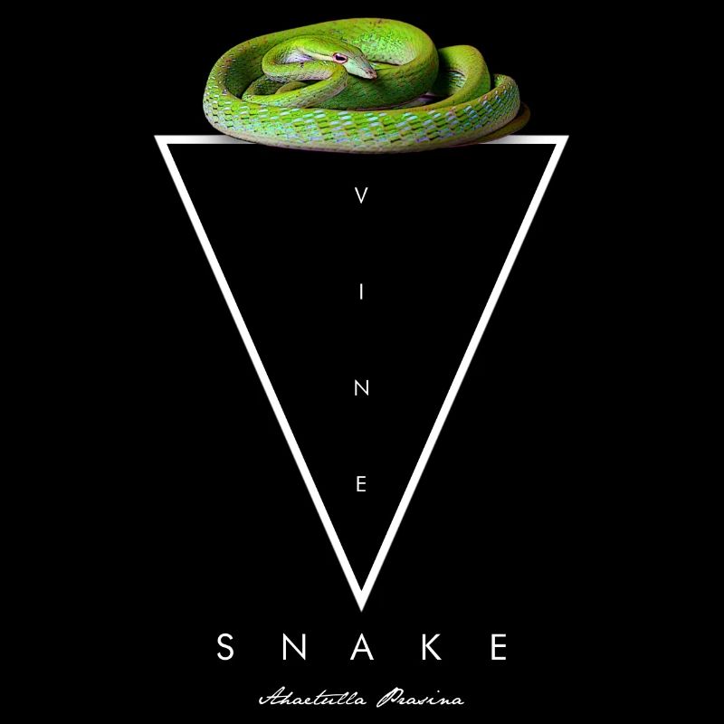 Asian Vine Snake Reptile Keeper Snake Owner
