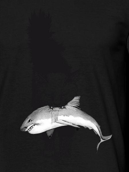 Shark Cat