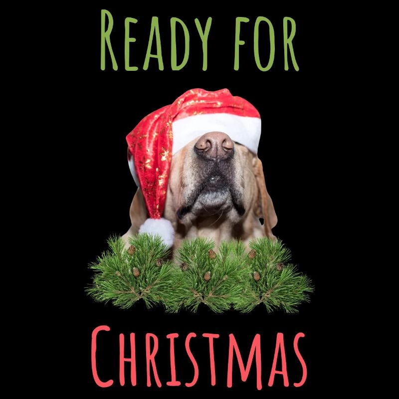 Ready for Christmas Dog