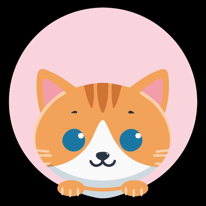 Orangene Katze
