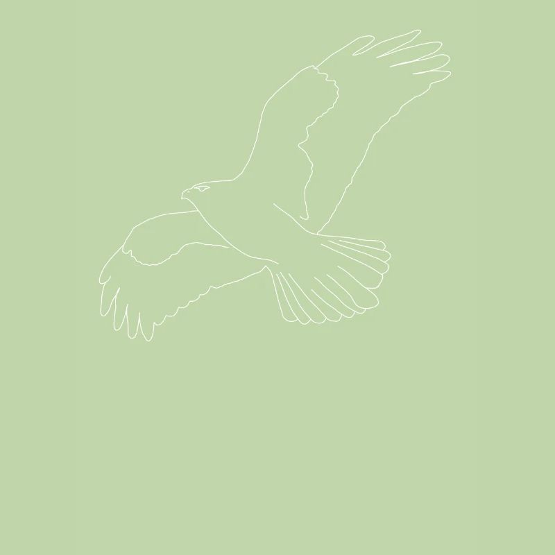 Buzzard