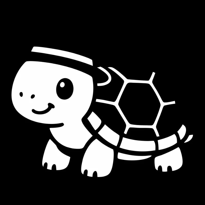 Cute turtle with hat