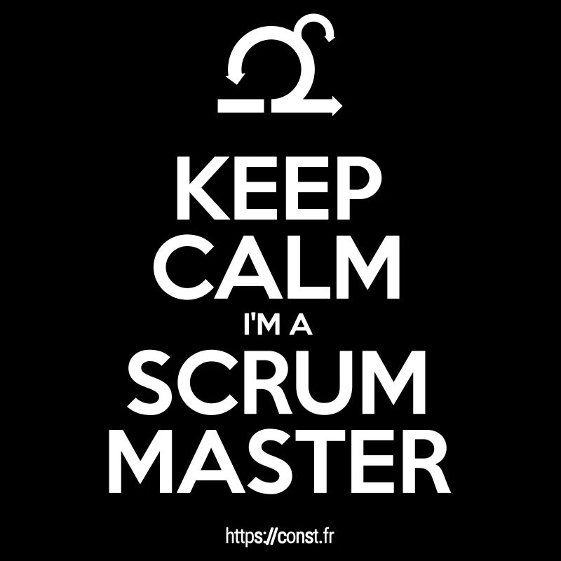 BEHALTEN SIE RUHE Ich bin ein SCRUM MASTER