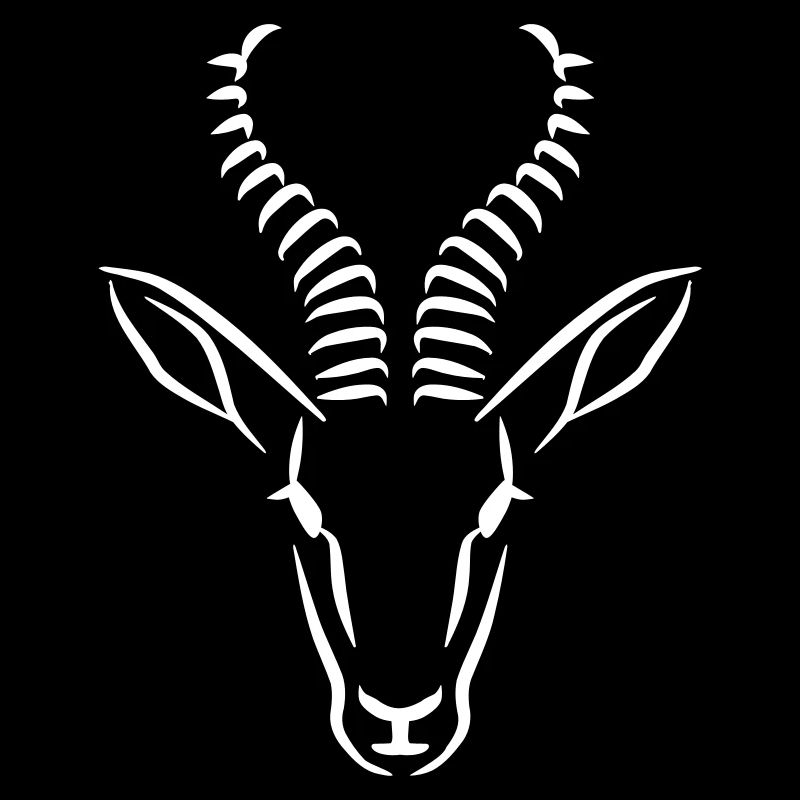Springbok