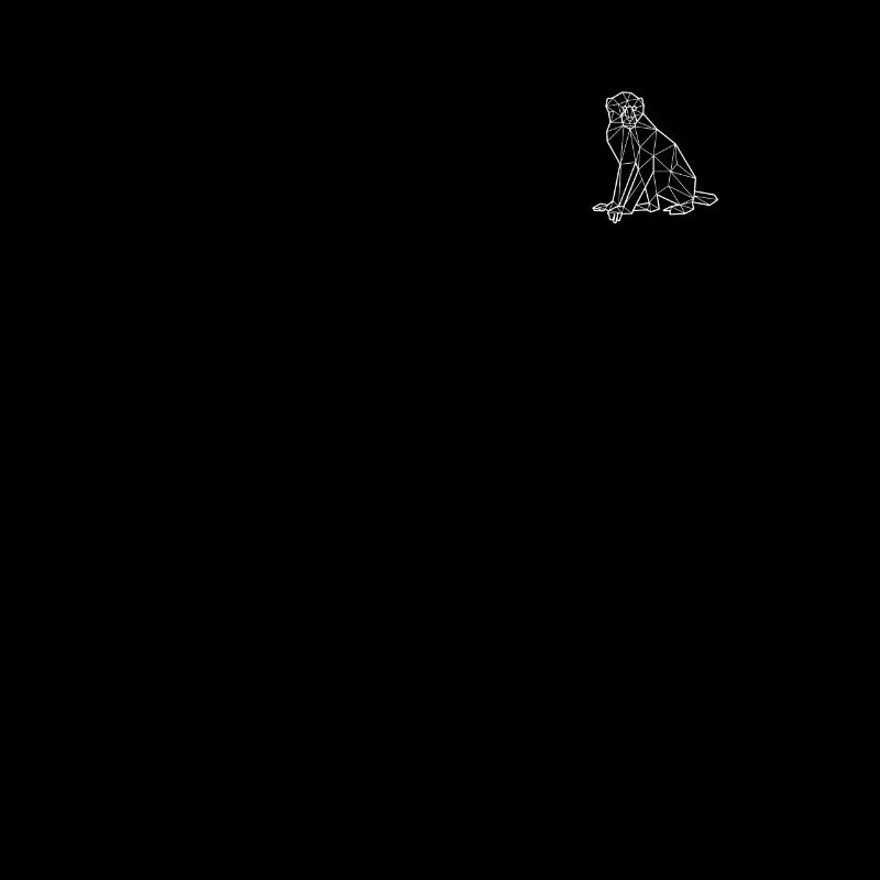 Polygone Singe Géométrie Minimaliste Drôle -