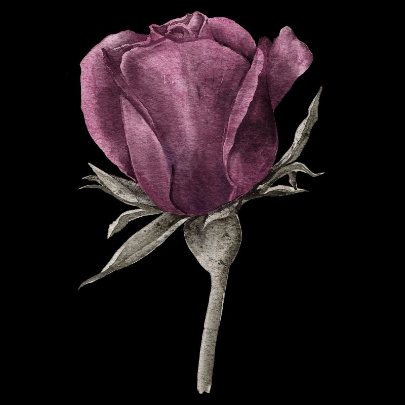Une rose
