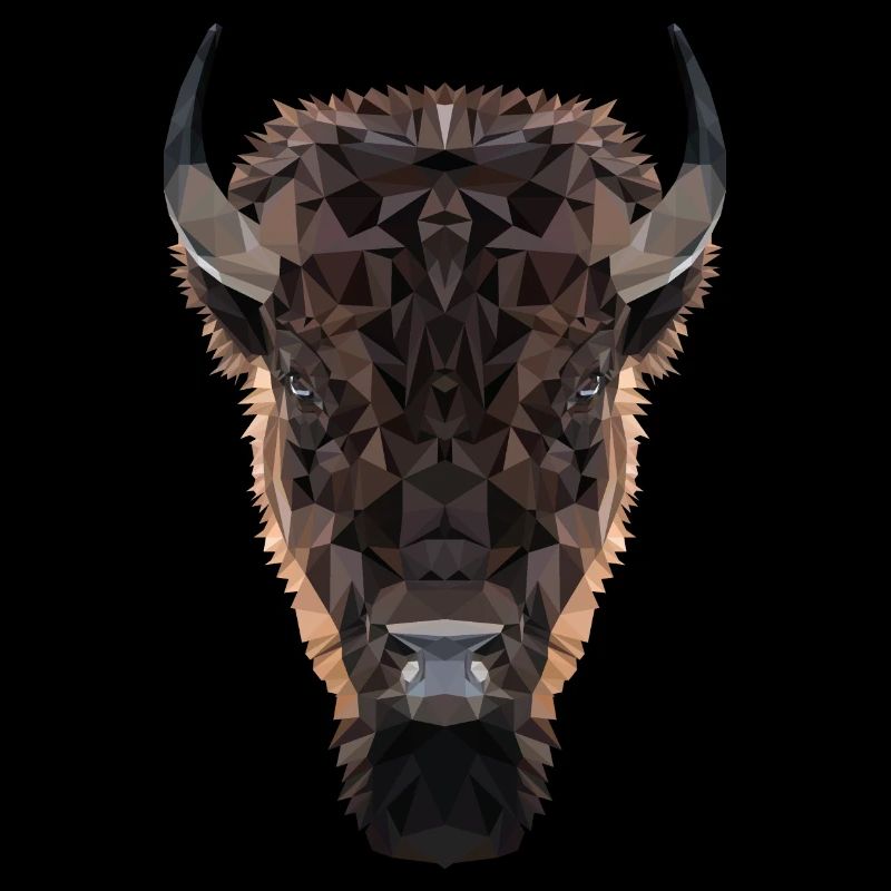 Bison