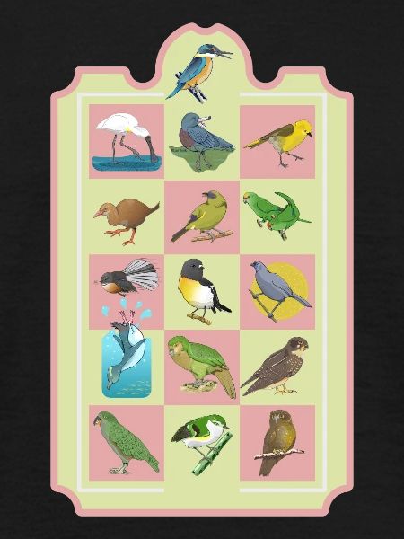 NZ BIRDS