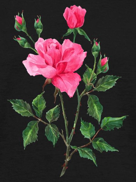 Blume