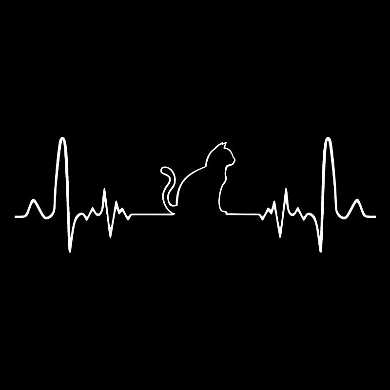 EKG cat