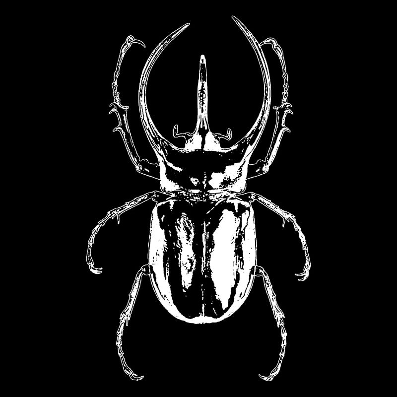 Bug