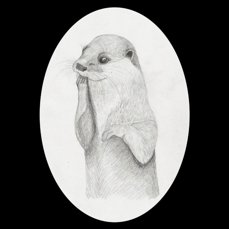 Otter Oval