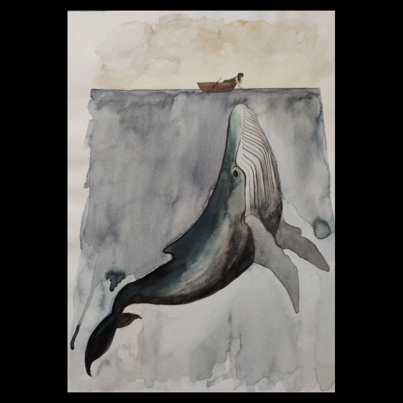Rencontre avec les baleines