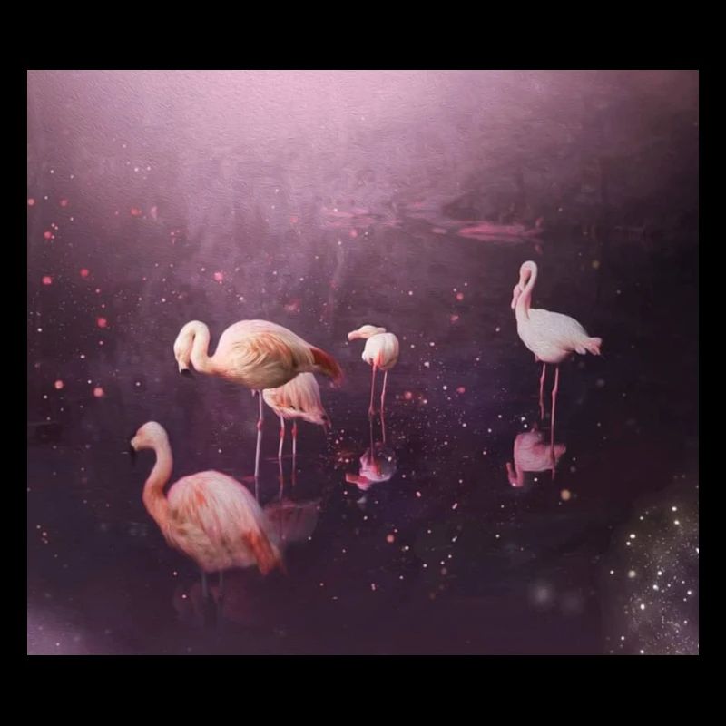 Flamingo