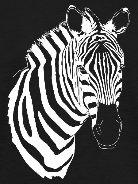 White zebra