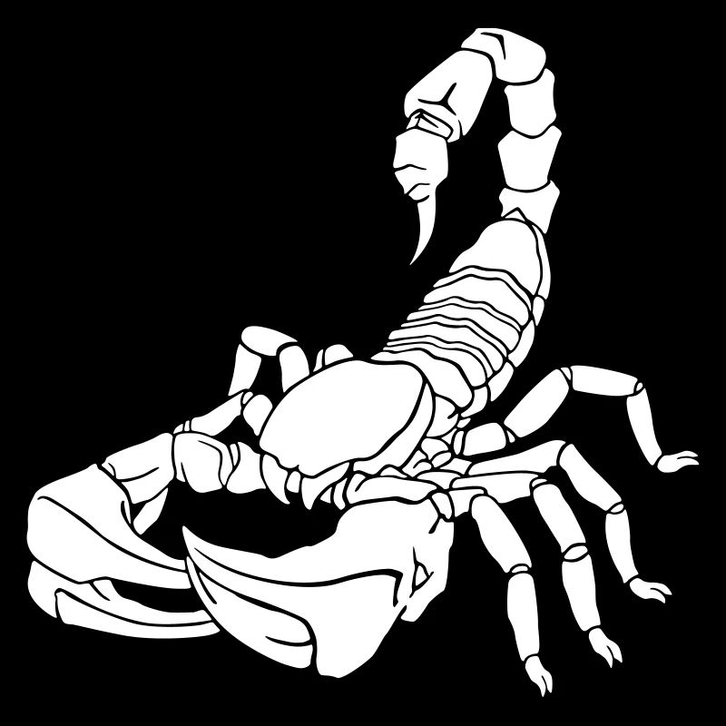 stylized scorpion