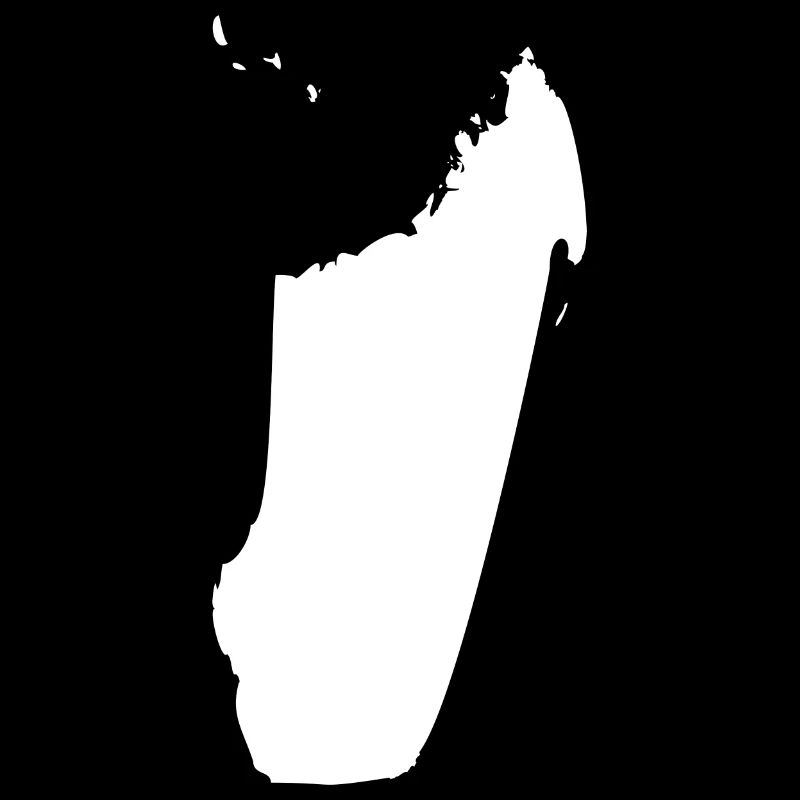 Drapeau de la carte de Madagascar