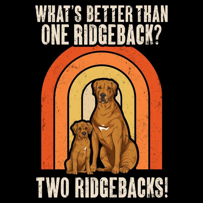 Chien Rhodesian Ridgeback