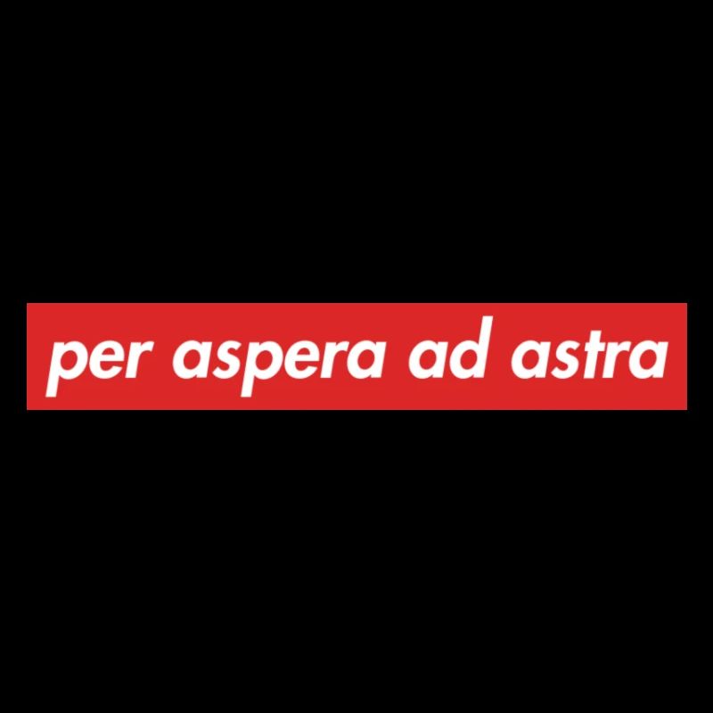 per aspera ad astra