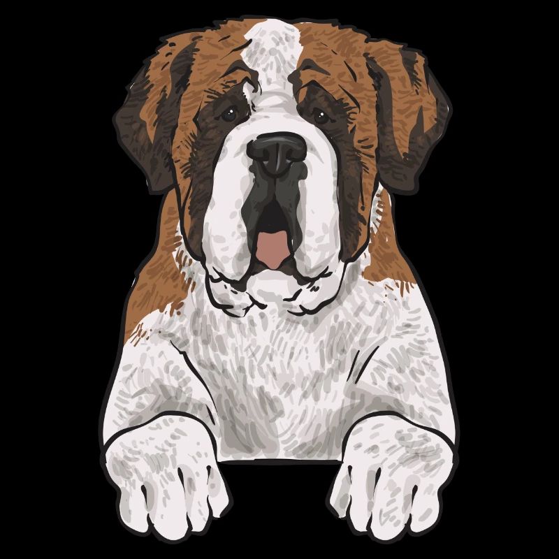 Saint-Bernard Chien Saint-Bernard
